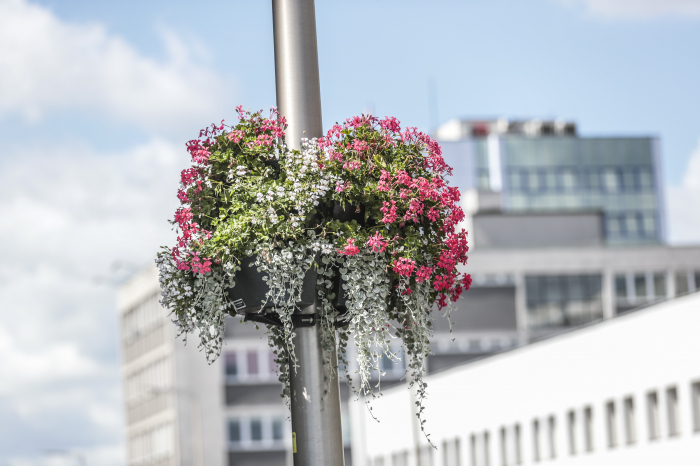 Konkurs! Uwaga!!! Konkurs!