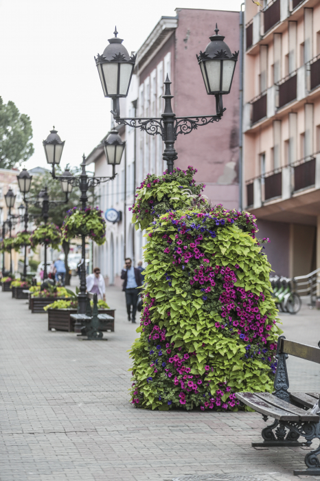 Konkurs! Uwaga!!! Konkurs!