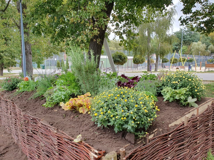 Miejskie zielniki. Smacznego!