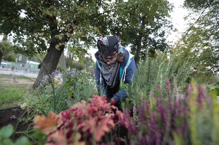 Miejskie zielniki. Smacznego!