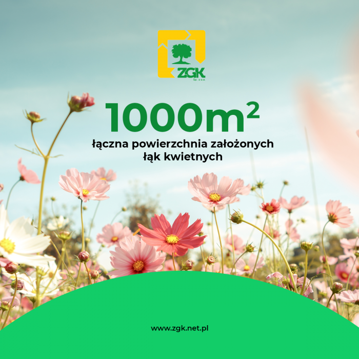 Podsumowanie 2020 roku