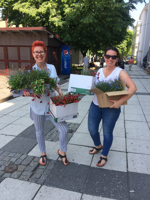 Przygarnij bratka vol. 2