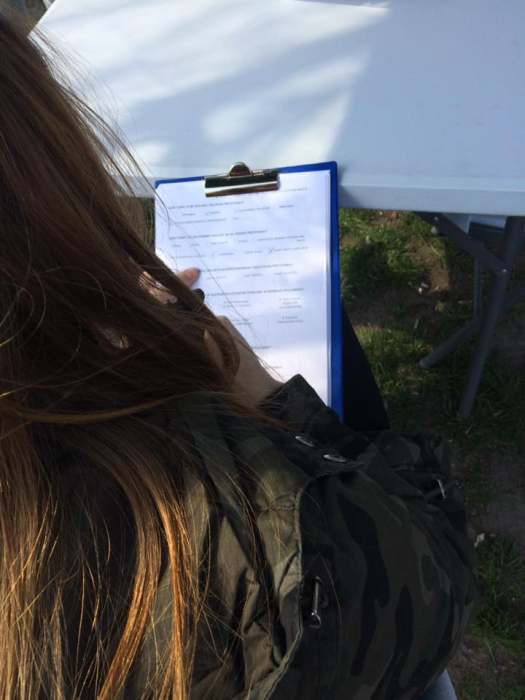 Zielone przystanki – konsultacje za nami