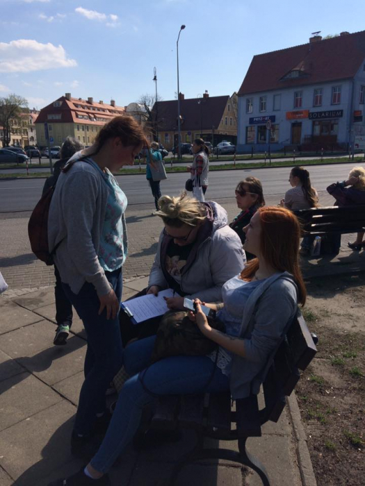 Zielone przystanki – konsultacje za nami