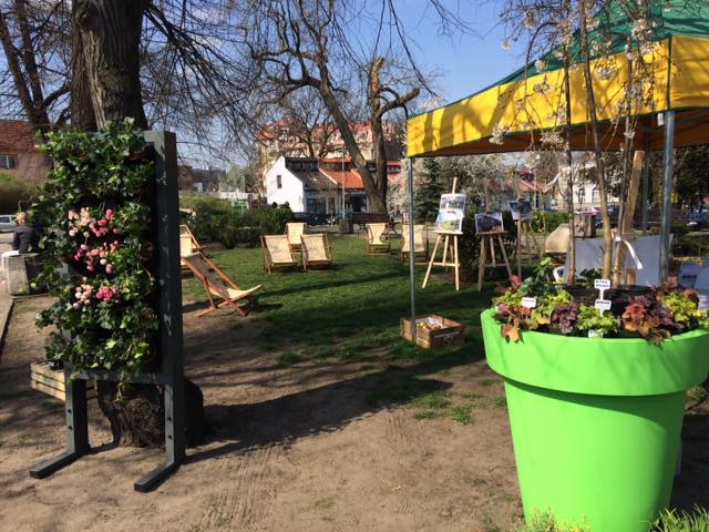 Zielone przystanki – konsultacje za nami