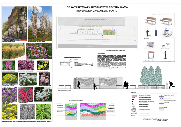 Zielone przystanki – ruszyło głosowanie